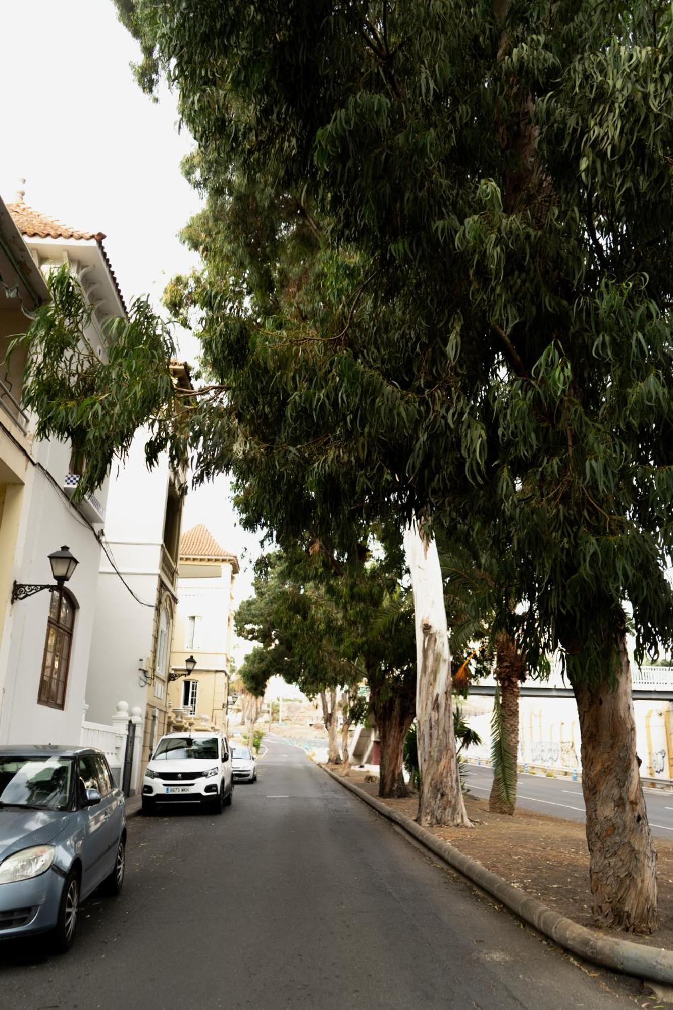 Eucalipto Auberge de jeunesse Las Palmas de Gran Canaria